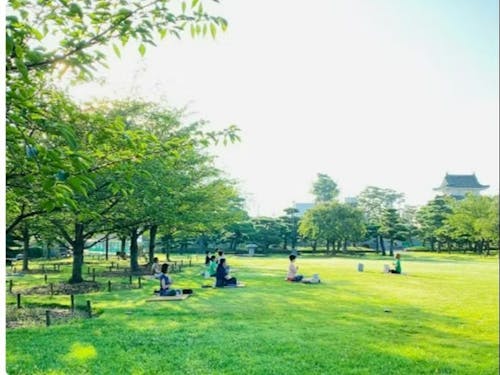 玉藻公園での朝ヨガ