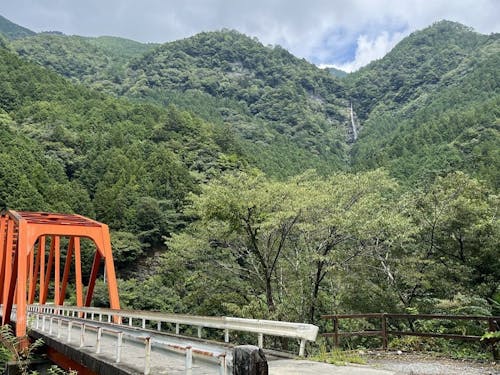 見落としてしまいそうな滝