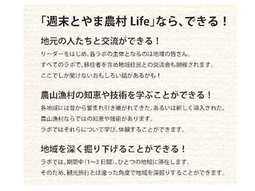 ここがオススメ！