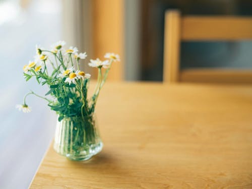 無理のないペースで自分のお店を開けるかも