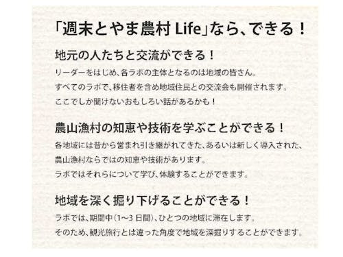 ここがオススメ!