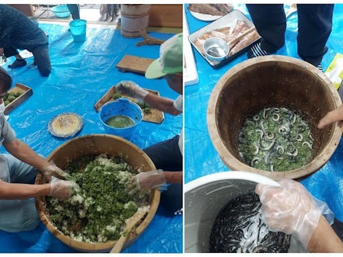 粉状の蓼(タデ)をご飯に混ぜこみます。ご飯⇒ドジョウ⇒塩⇒ナマズの順に鮨樽へ