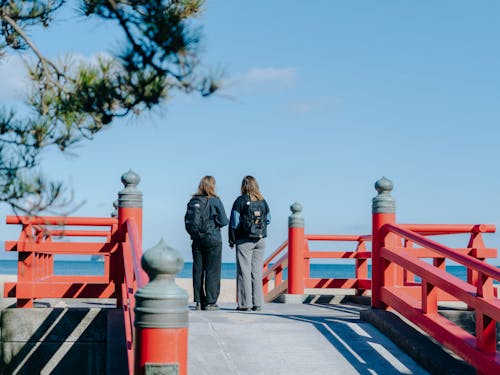 砂浜と樹齢600歳を越える松が残る津田エリア