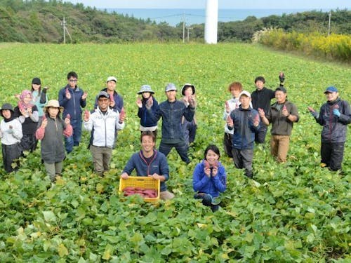 株式会社フィールドワークス