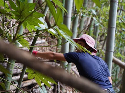 防災・減災の視点も得られます！