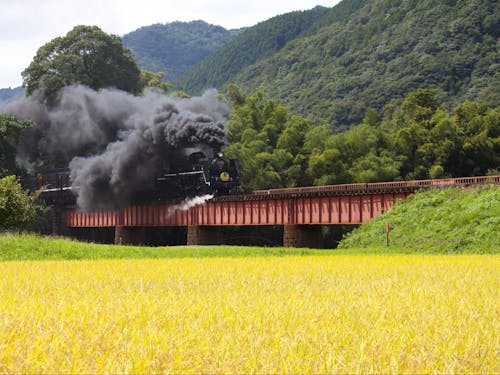 SLが走る【山口市】