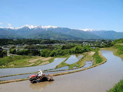 飯沼地区の棚田