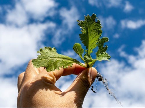 自然豊かな兵庫県多可町が舞台です
