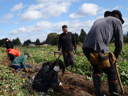 前回ツアーの様子(さつまいも収穫体験)