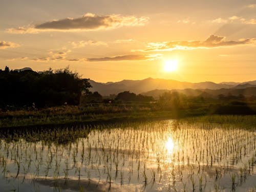 ゲスト：富澤一也さん撮影
