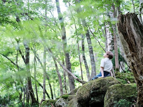 森林セラピーの様子