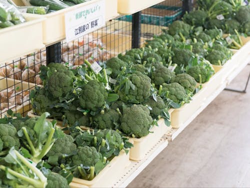 江別は道内有数のブロッコリーの産地です！