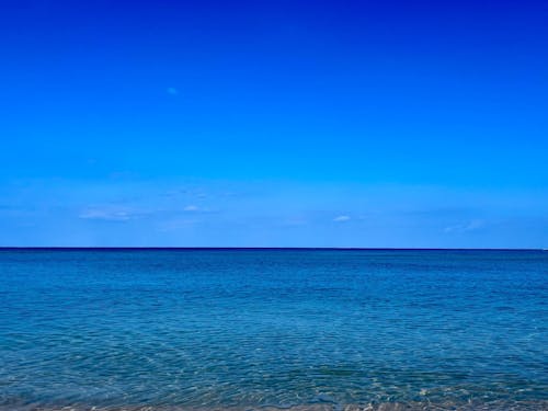 まだまだ活用の幅がある地域の資源例(海)