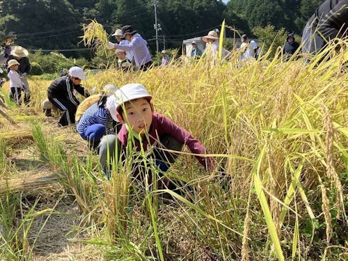 現地参加された方は佐々並の新米5キロプレゼント!!