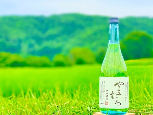 山室で作った酒米で醸造された「純米酒やまむろ」