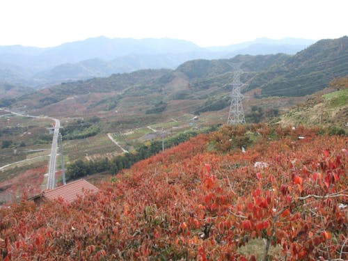 九度山町の風景📸
