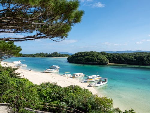 沖縄県石垣市(石垣島)