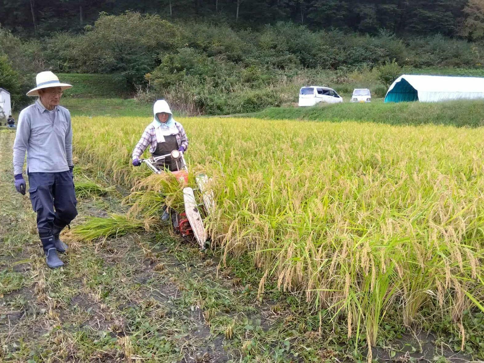 里山LIFEアカデミー】土から育む「自然栽培」の可能性と収穫の秋を体感
