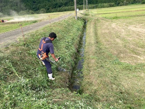 草刈りの作業風景