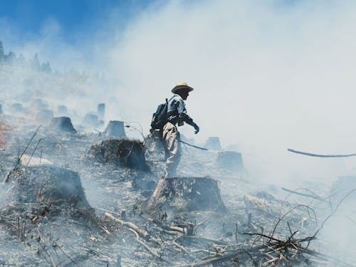 椎葉の焼畑農業