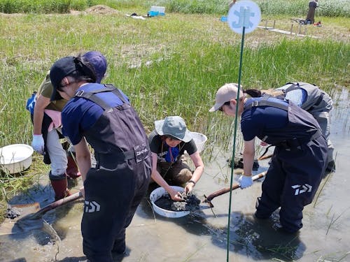 町内には海・川・山がそろっています