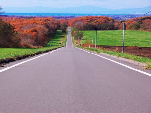 北海道らしい道をドライブするのも最高