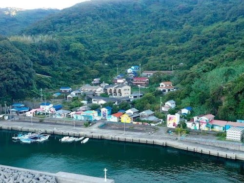 高井神島にある唯一の集落のほぼ全景。港に面した家の壁などにマンガが描かれています