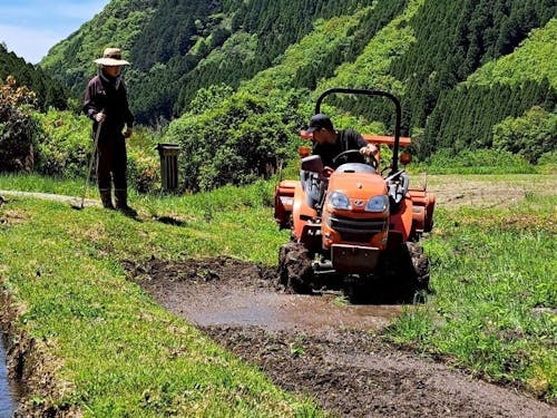地元の方に田んぼの「代かき」を教わっている様子