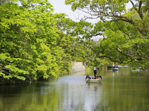 名物川下りの様子