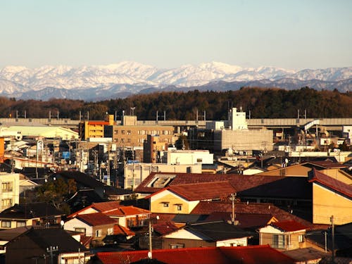 【大聖寺地区】神社を登ると、なぜか落ち着く山辺の光景。