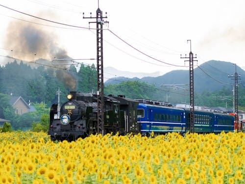 旅を思い出に残るひとときにするため、 SL大樹は様々なおもてなしを提供します！