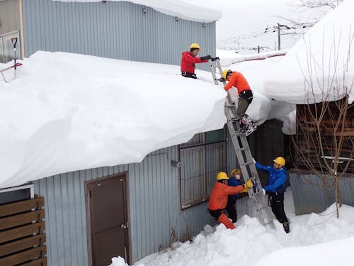 雪下ろし講習会の様子