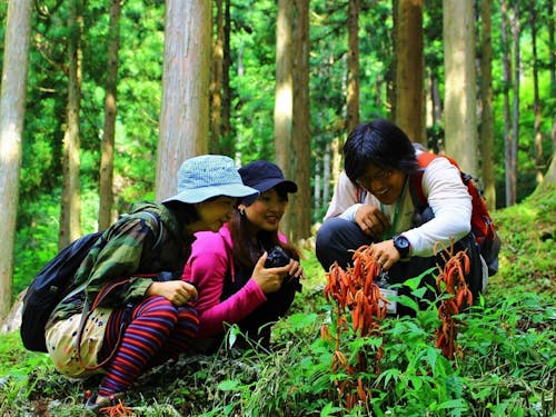 豊かな森林資源を活用した「森林セラピー®事業」