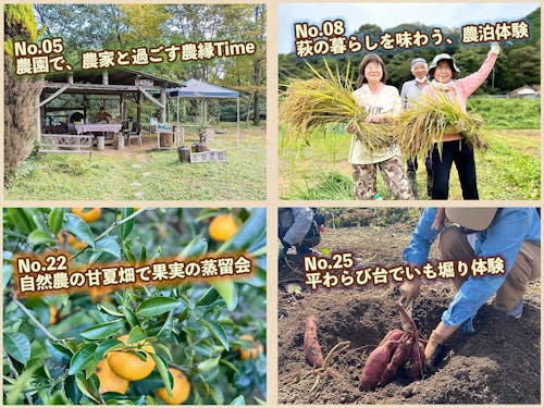 収穫・交流・語らいなど、スマウトでも人気の農業や農泊体験も充実!