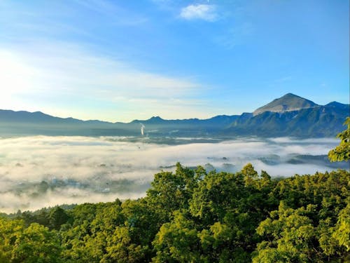 自然の中をウォーキングしたい人におすすめ