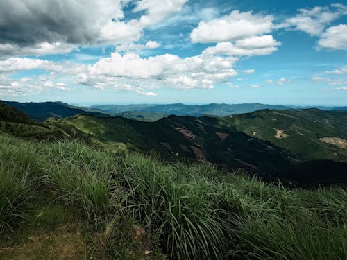 「モザイク林相」と呼ばれる多様な山肌。山が暮らしと強く結びついている証です。