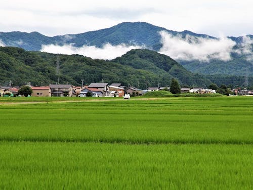 田園風景が広がる石川県加賀市