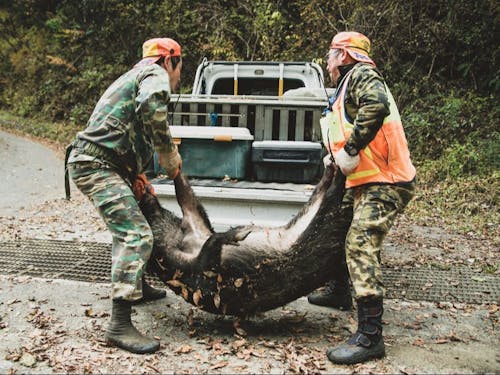 たとえば、椎葉村の狩猟文化に基づいた企画内容などが考えられます
