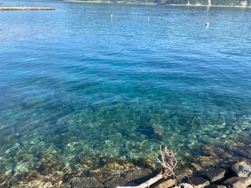 海に囲まれており、通勤でも海が見られます。