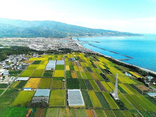 四国一小さな町ですが、大きな魅力がぎゅっとつまってます!