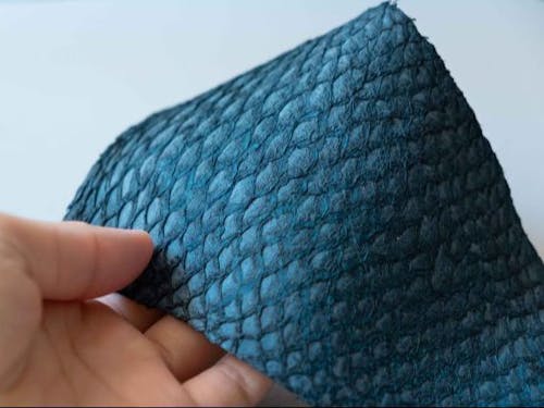 フィッシュレザーを使った缶バッジ作り体験 (富山県)