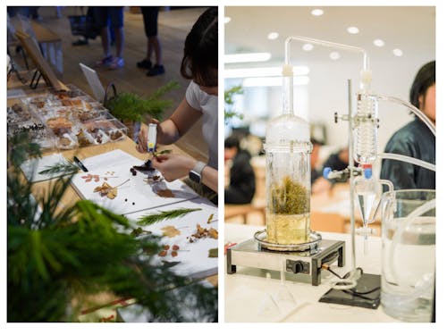 蒸留から行うアロマ作り体験または植物標本作り