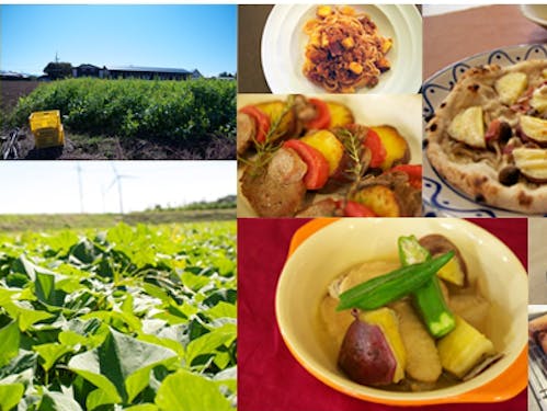 さつまいものレシピも伝授!