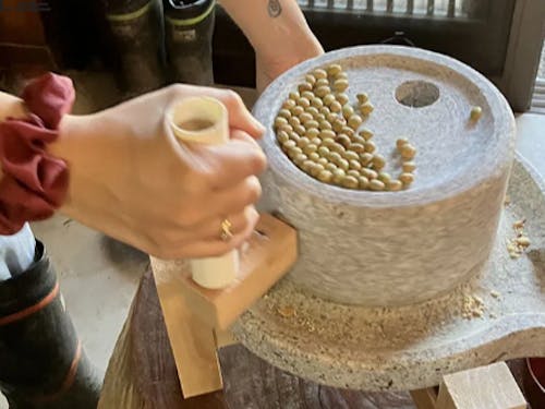 きなこ作り体験