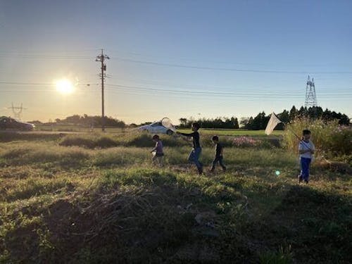 トンボやバッタが取り放題!