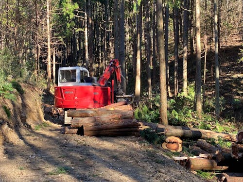 森の中で重機を操る！未経験から森づくりを始めませんか。