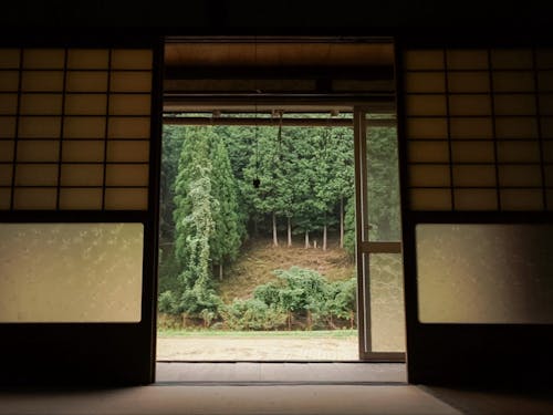 和室からの風景