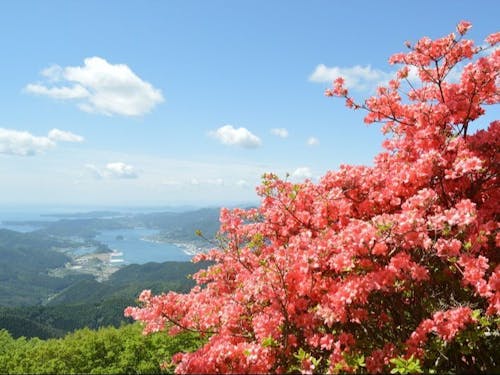 山と海に囲まれた風光明媚なまち大船渡。夏は涼しく、冬も雪が積もることはまれです。