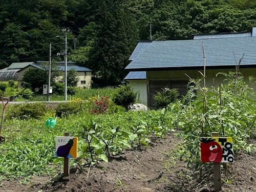 鳥獣から農作物被害を守ることは地域住民の安心安全な暮らしに直結します。
