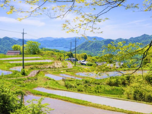 マチナカエリアから少し行くと、のどかな農村・漁村も◎